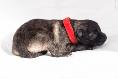 tseelen18_foto-b_0001979