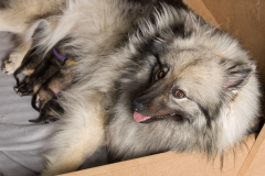 tseelen18_foto-b_0001988