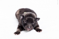 tseelen18_foto-b_0001999