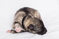 tseelen18_foto-b_0002006