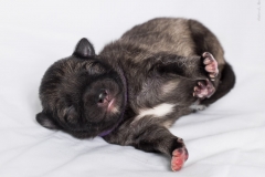 tseelen18_foto-b_0002020