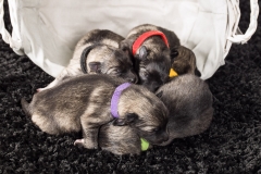 tseelen18_foto-b_0002035