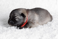 tseelen18_foto-b_0002087