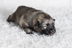 tseelen18_foto-b_0002098