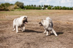 tseelen18_foto-b_7531