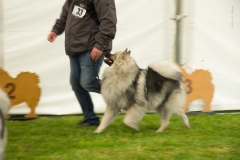 tseelen19_foto-b_9925