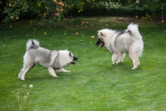 tseelen18_foto-b_7412