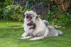 tseelen18_foto-b_7420