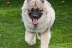 tseelen18_foto-b_7424