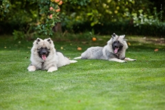 tseelen18_foto-b_7426