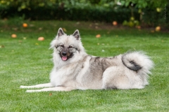 tseelen18_foto-b_7438