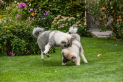 tseelen18_foto-b_7440