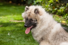 tseelen18_foto-b_7450