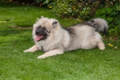 tseelen18_foto-b_7459