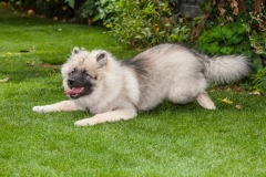 tseelen18_foto-b_7460