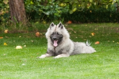 tseelen18_foto-b_7461