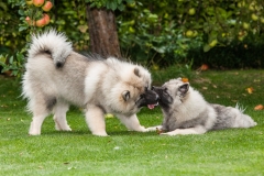 tseelen18_foto-b_7464