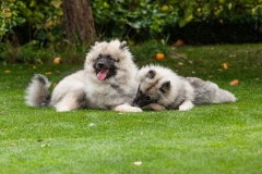 tseelen18_foto-b_7467