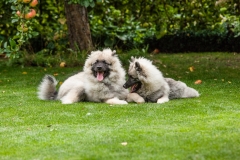 tseelen18_foto-b_7468