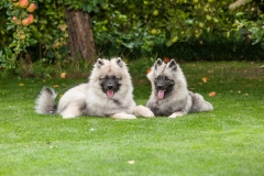 tseelen18_foto-b_7470