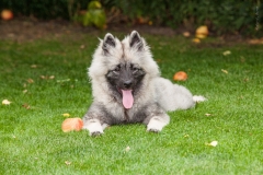 tseelen18_foto-b_7472