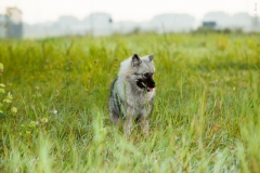 thunde16_foto-b_0371