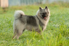thunde16_foto-b_0375