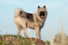 thunde16_foto-b_0394