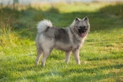 thunde16_foto-b_0440
