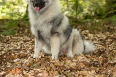 thunde16_foto-b_2320