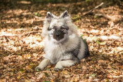 thunde16_foto-b_2337
