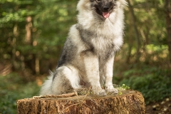 thunde16_foto-b_2366