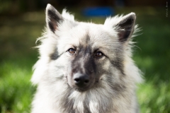thunde16_foto-b_2488