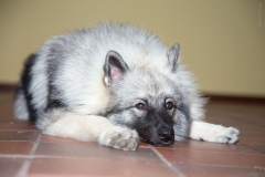 thunde16_foto-b_2525