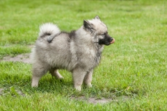 thunde16_foto-b_4441