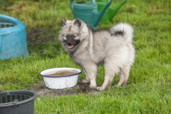 thunde16_foto-b_4461