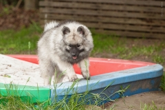 thunde16_foto-b_4641