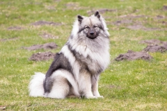 xbarfa18_foto-b_8932