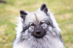 xbarfa18_foto-b_8937