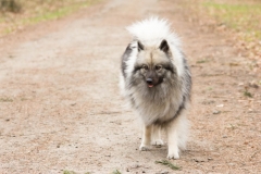 xbarfa18_foto-b_8978