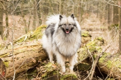 xbarfa18_foto-b_8990