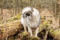 xbarfa18_foto-b_8997