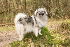 xbarfa18_foto-b_9015