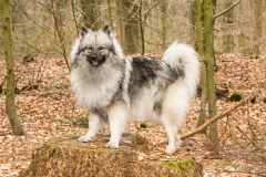 xbarfa18_foto-b_9041