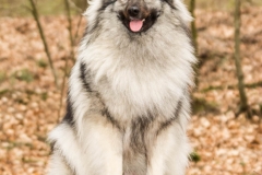 xbarfa18_foto-b_9050