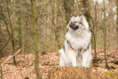 xbarfa18_foto-b_9059