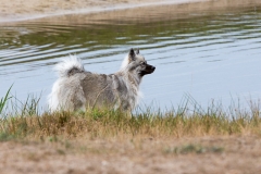 tseelen18_foto-b_5609