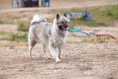 tseelen18_foto-b_5660