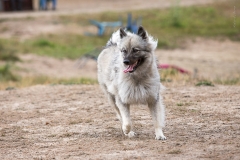tseelen18_foto-b_5661